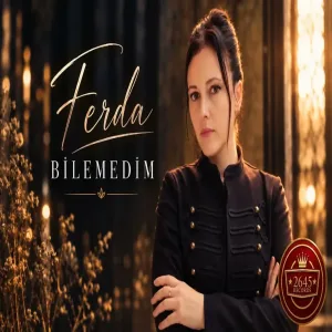 Ferda - Bilemedim