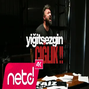 Yiğit Sezgin - Çığlık