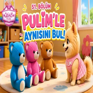 Pulim - Pulim'le Aynısını Bul