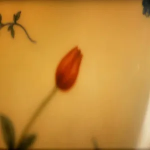 Ilkay Sencan & Buray - Mi Amor