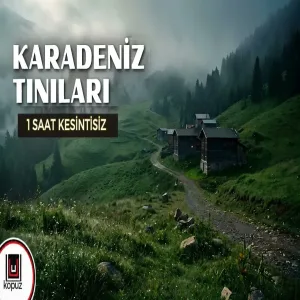Karadeniz Tınıları 1 Saat Kesintisiz Kemençe, Tulum & Yayla Ezgileri (Full Albüm