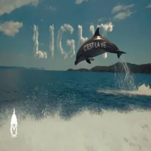 Light - C'est La Vie