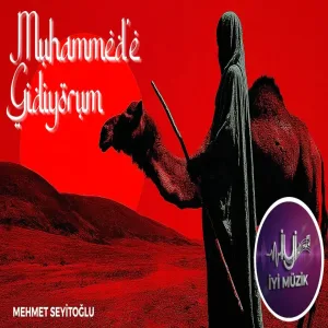 Mehmet Seyitoğlu - Derman Sende Allahim