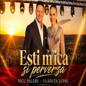 Nicu Paleru ❌ Vladuta Lupau - Esti Mica si Perversa Oficial